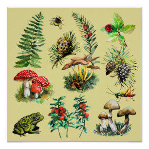 Forest, wild mushrooms poster