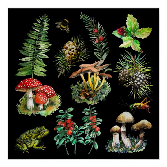 Forest, wild mushrooms poster (Front)