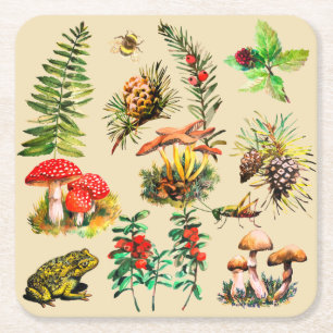 Forest, wild mushrooms square paper coaster