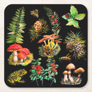 Forest, wild mushrooms square paper coaster