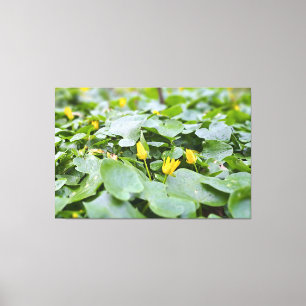 Forest Wildflowers – Botanical Nature Photography Canvas Print