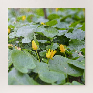 Forest Wildflowers – Botanical Nature Photography Jigsaw Puzzle