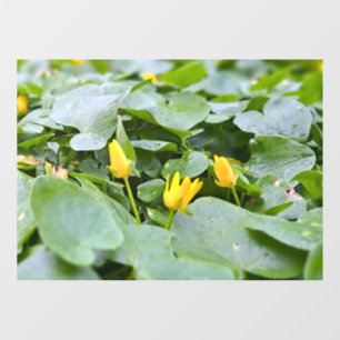 Forest Wildflowers – Botanical Nature Photography Window Cling