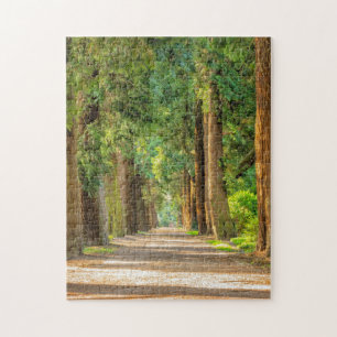 FOREST WOODS TRAINQUIL TRAIL JIGSAW PUZZLE