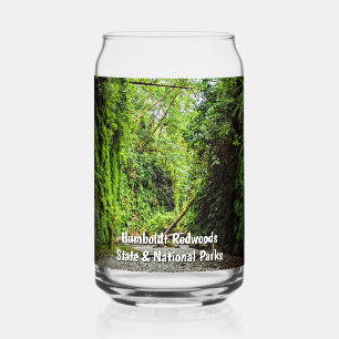 Forested Fern Canyon Creek Trail Can Glass