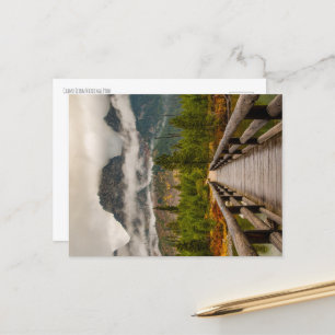 Forested Trail Postcard