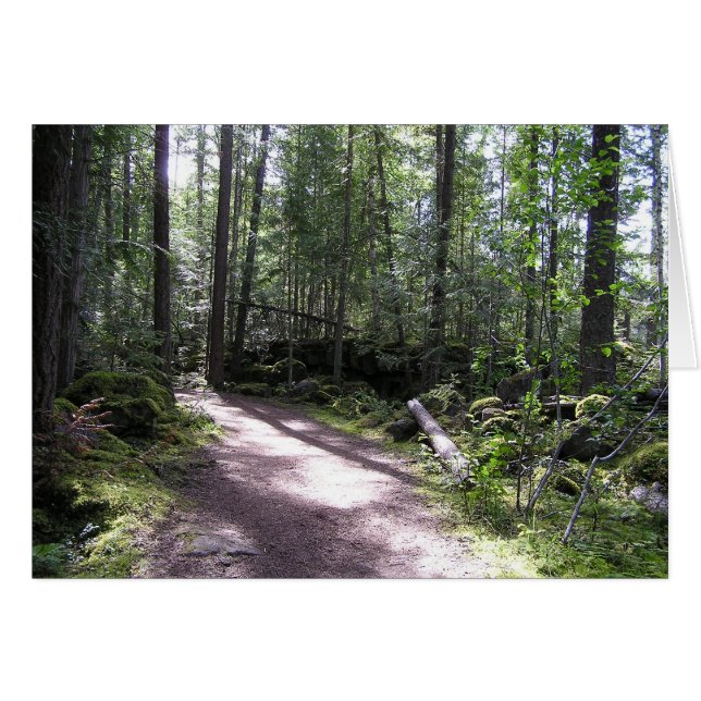 forestpath (Front Horizontal)