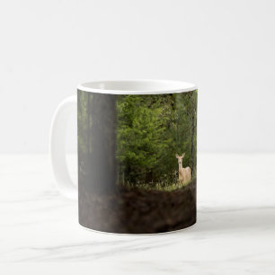 Forests   A White Tailed Deer in the Woods Coffee Mug