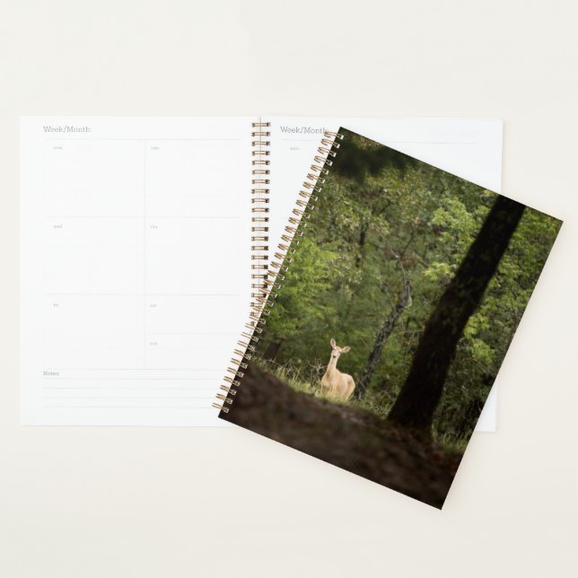 Forests | A White Tailed Deer in the Woods Planner (Display)