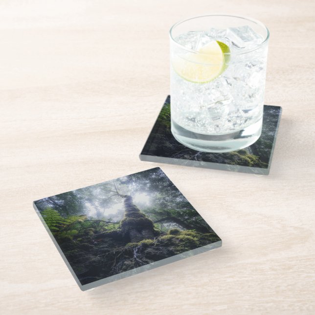 Forests | Anaga Rural Park Canary Islands Glass Coaster (Angled)