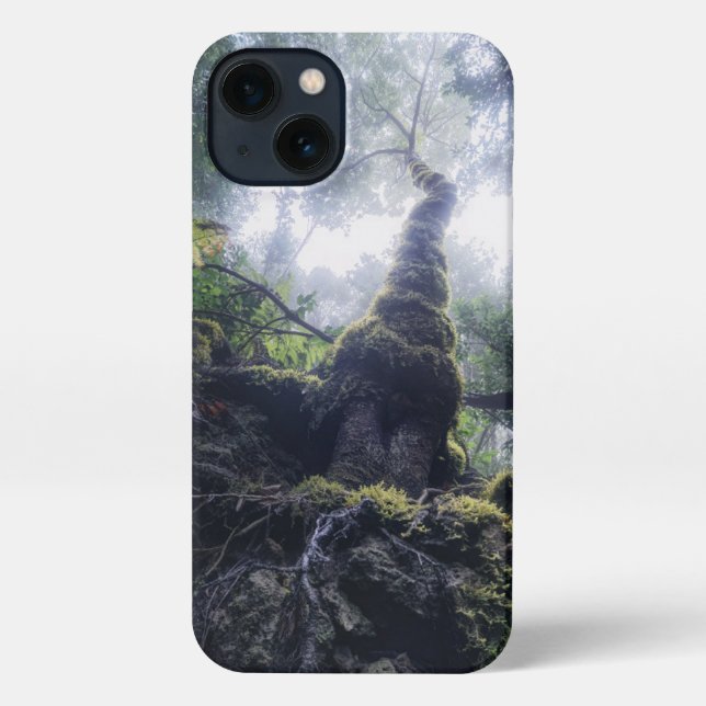 Forests | Anaga Rural Park Canary Islands iPhone Case (Back)