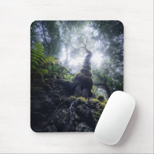 Forests   Anaga Rural Park Canary Islands Mouse Mat