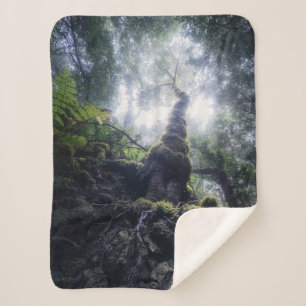 Forests   Anaga Rural Park Canary Islands Sherpa Blanket