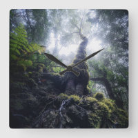 Forests | Anaga Rural Park Canary Islands