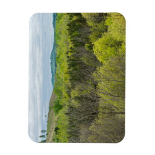 Forests and Hills in Black River Falls Magnet