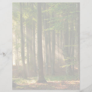 Forests   Autumn Forest