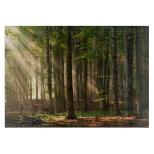 Forests Autumn Forest Cutting Board