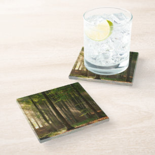 Forests   Autumn Forest Glass Coaster