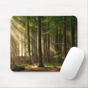 Forests Autumn Forest Mouse Mat