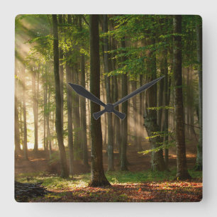 Forests Autumn Forest Square Wall Clock