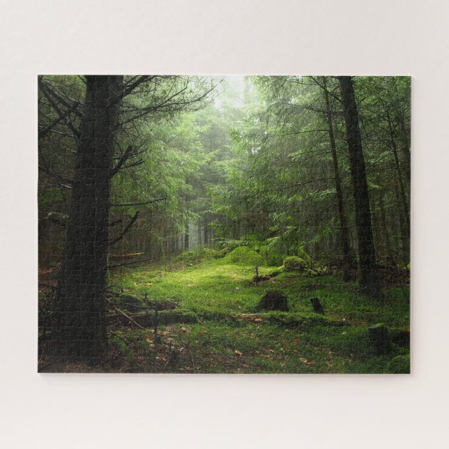 Forests | Auvergne France Jigsaw Puzzle (Horizontal)