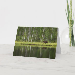 Forests Bear at Taiga Forest Northern Finland Card