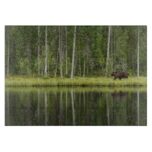 Forests   Bear at Taiga Forest Northern Finland Cutting Board