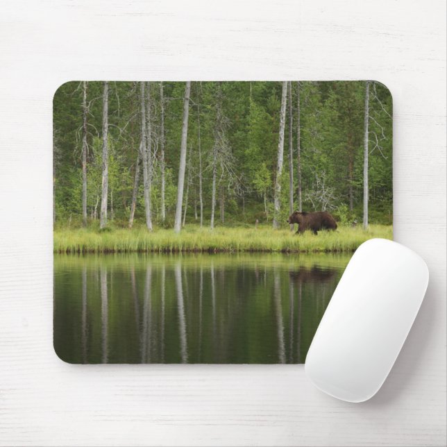 Forests | Bear at Taiga Forest Northern Finland Mouse Mat (With Mouse)