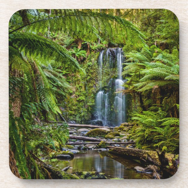 Forests | Beauchamp Falls Australia Coaster (Front)