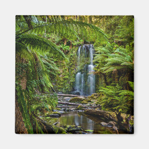 Forests Beauchamp Falls Australia Magnet