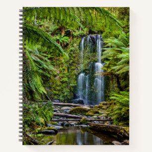 Forests   Beauchamp Falls Australia Notebook