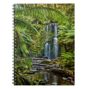 Forests   Beauchamp Falls Australia Notebook