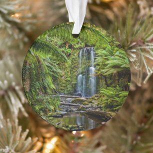 Forests Beauchamp Falls Australia Ornament