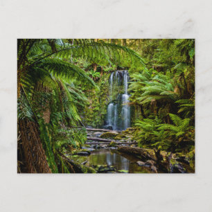 Forests   Beauchamp Falls Australia Postcard