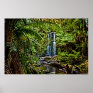 Forests   Beauchamp Falls Australia Poster