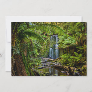 Forests Beauchamp Falls Australia Thank You Card