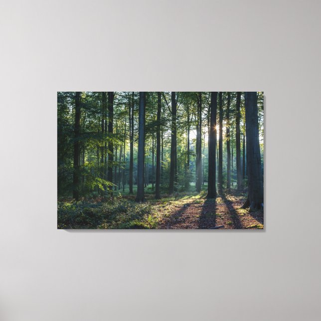 Forests | Black Forest Germany Canvas Print (Front)