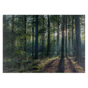 Forests Black Forest Germany Cutting Board