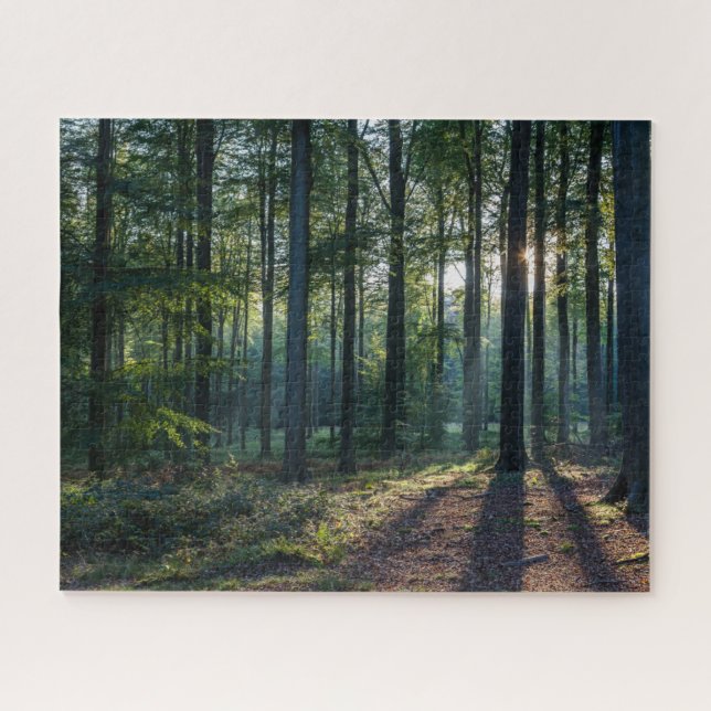 Forests | Black Forest Germany Jigsaw Puzzle (Horizontal)