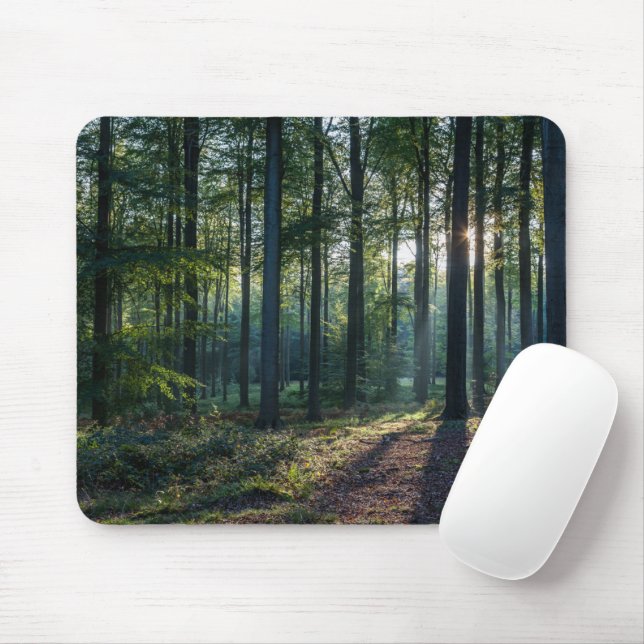 Forests | Black Forest Germany Mouse Mat (With Mouse)