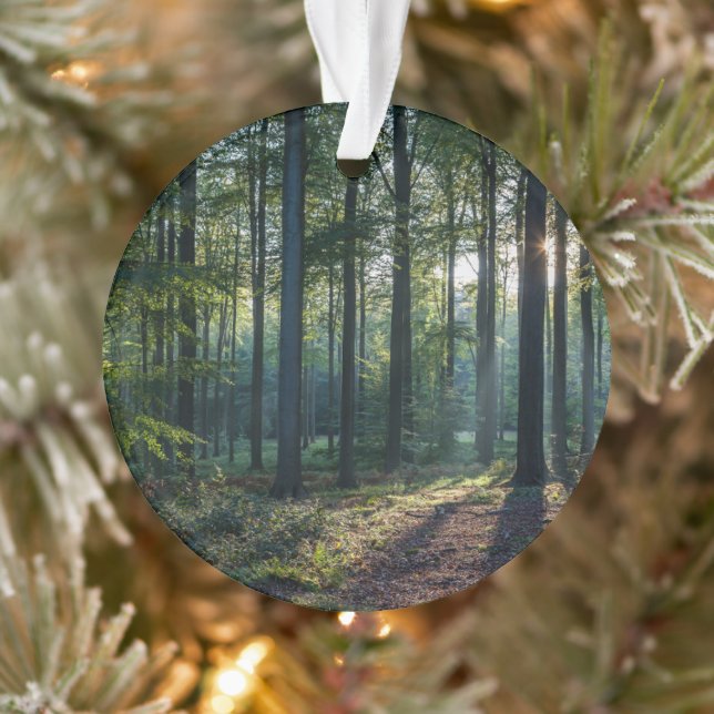 Forests | Black Forest Germany Ornament (Tree)