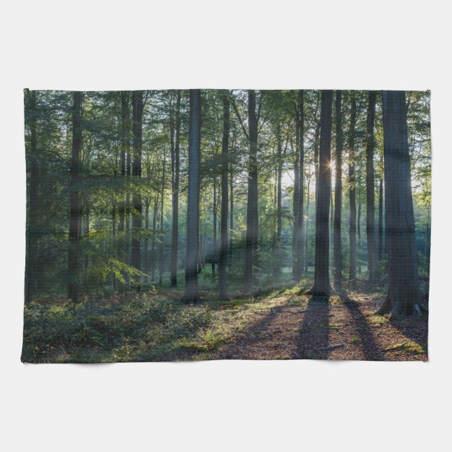 Forests | Black Forest Germany Tea Towel (Horizontal)