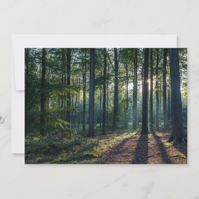 Forests | Black Forest Germany Thank You Card (Front)