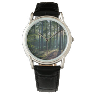 Forests   Black Forest Germany Watch