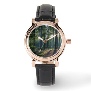 Forests   Black Forest Germany Watch