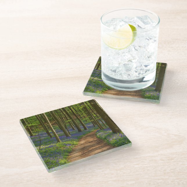 Forests | Bluebell Forest in Belgium Glass Coaster (Angled)