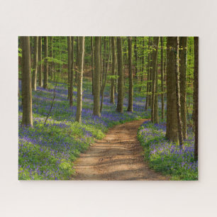 Forests Bluebell Forest in Belgium Jigsaw Puzzle