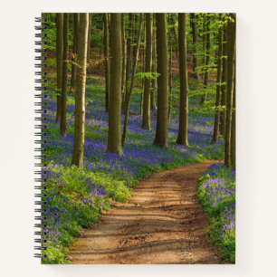 Forests   Bluebell Forest in Belgium Notebook