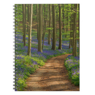 Forests   Bluebell Forest in Belgium Notebook