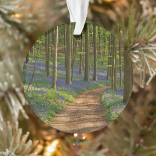 Forests   Bluebell Forest in Belgium Ornament